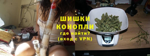 МДПВ Богородск