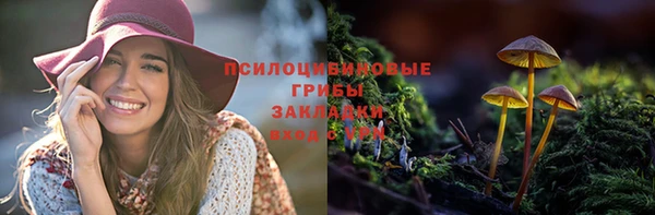 эйфоретик Белоозёрский