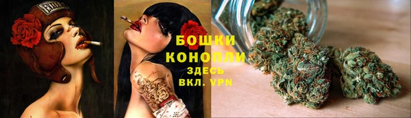 МДПВ Богородск