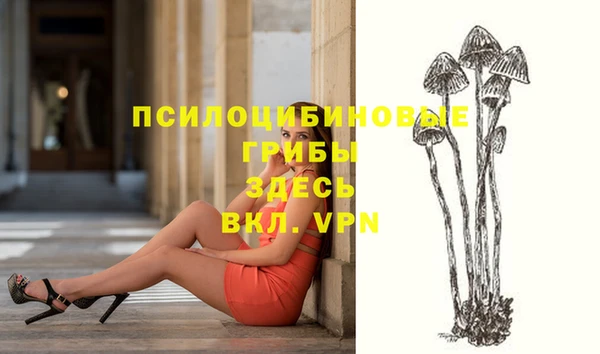 первитин Белокуриха