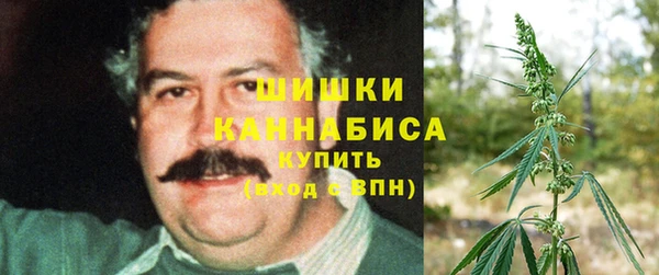 эйфоретик Белоозёрский
