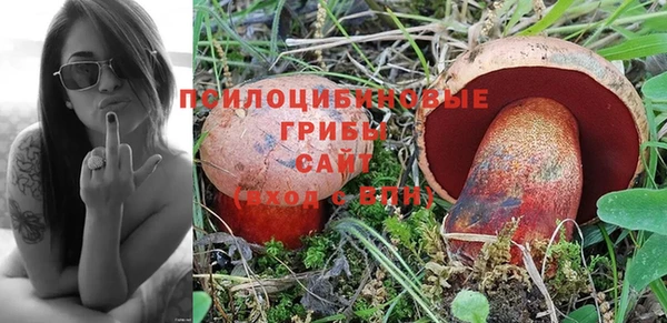эйфоретик Белоозёрский