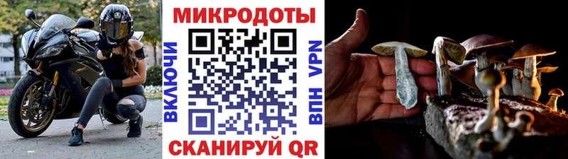 гидра   Санкт-Петербург  сайты даркнета состав  Галлюциногенные грибы ЛСД 